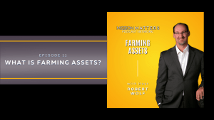 What is Farming Assets?