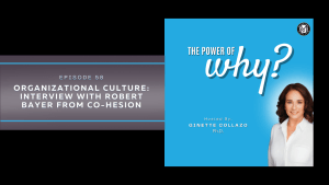 Organizational Culture: Interview with Robert Bayer from Co-hesion